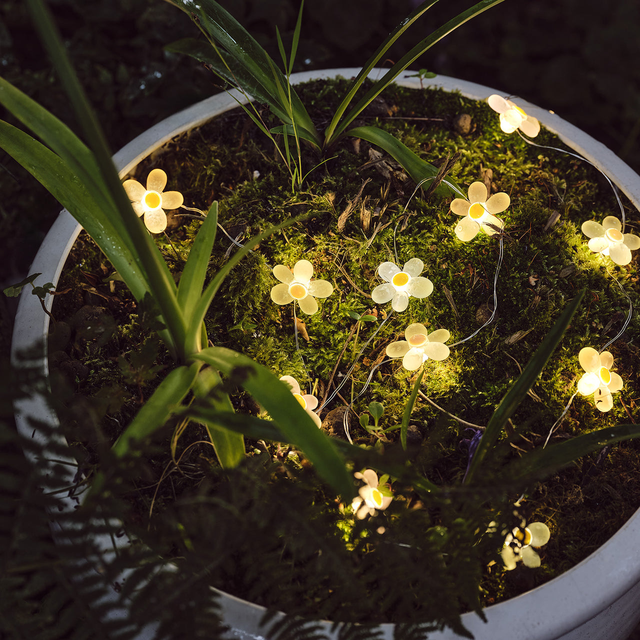 20er LED Micro Lichterkette außen rosa Blumen