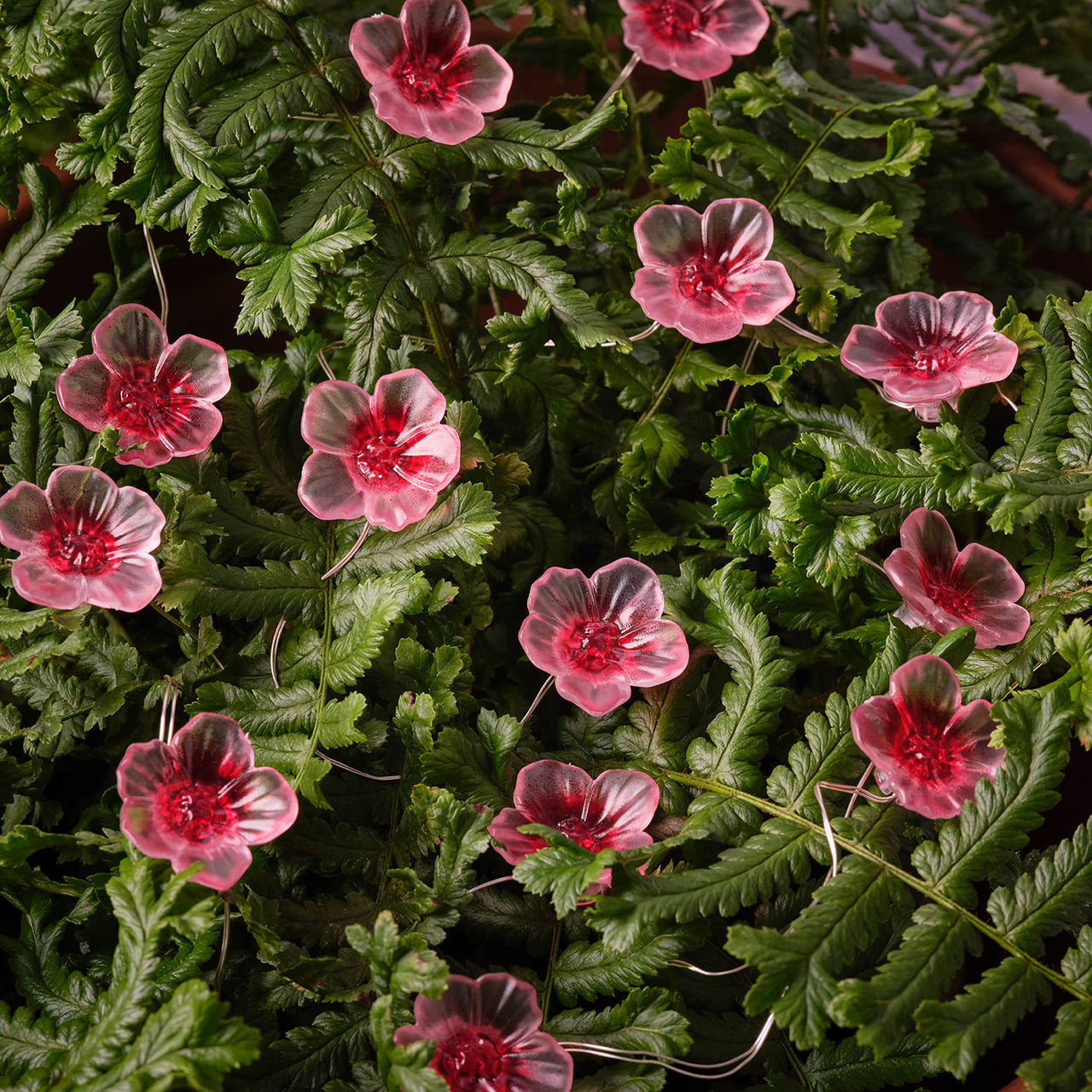 20er LED Micro Lichterkette außen pinke Kirschblüten