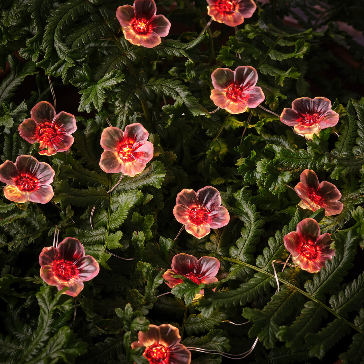 20er LED Micro Lichterkette außen pinke Kirschblüten