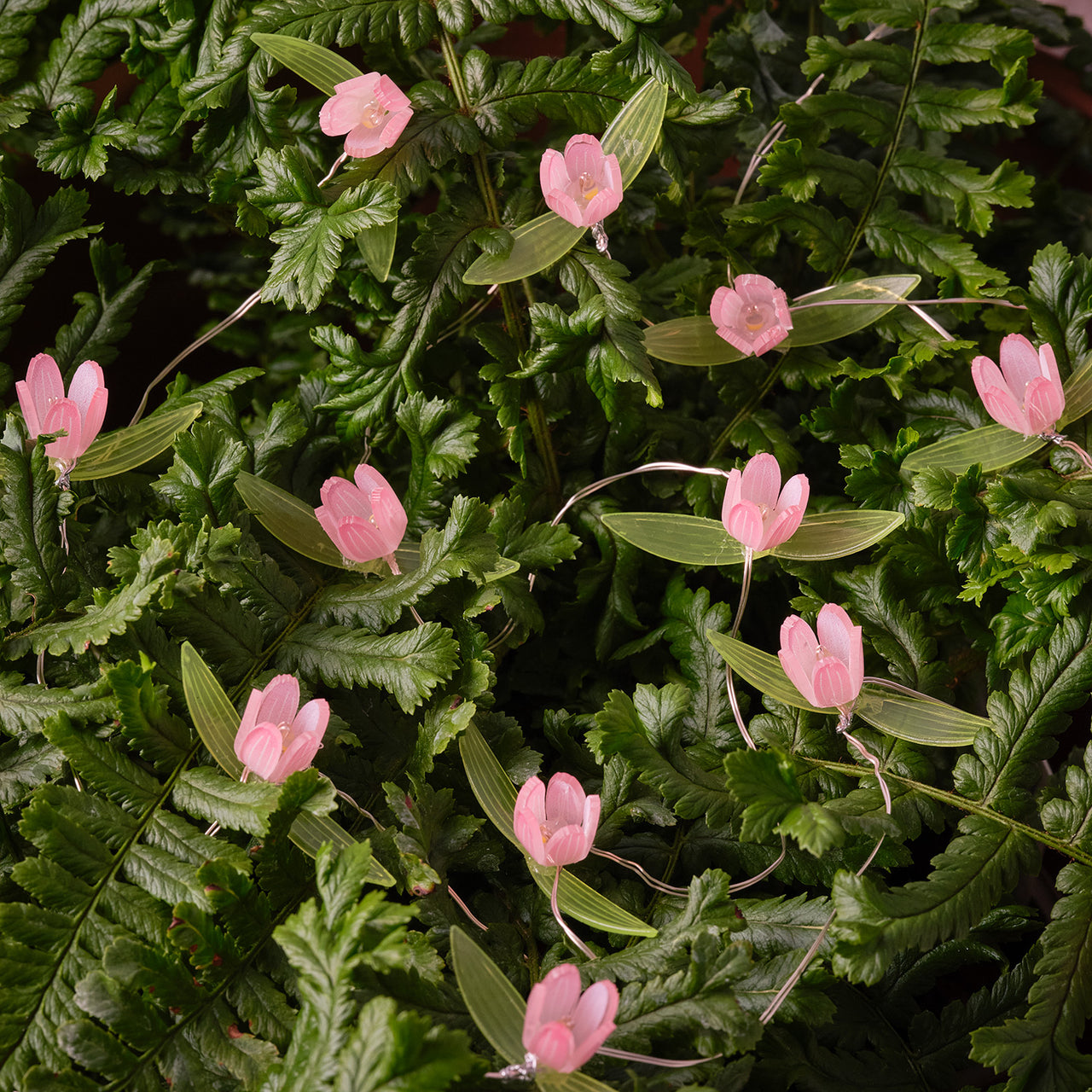 20er LED Micro Lichterkette außen pinke Rosen