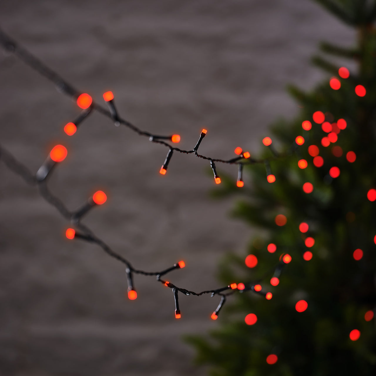 10m 100er LED Lichterkette außen mit Farbauswahl