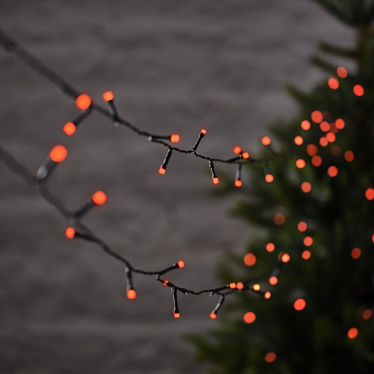 10m 100er LED Lichterkette außen mit Farbauswahl