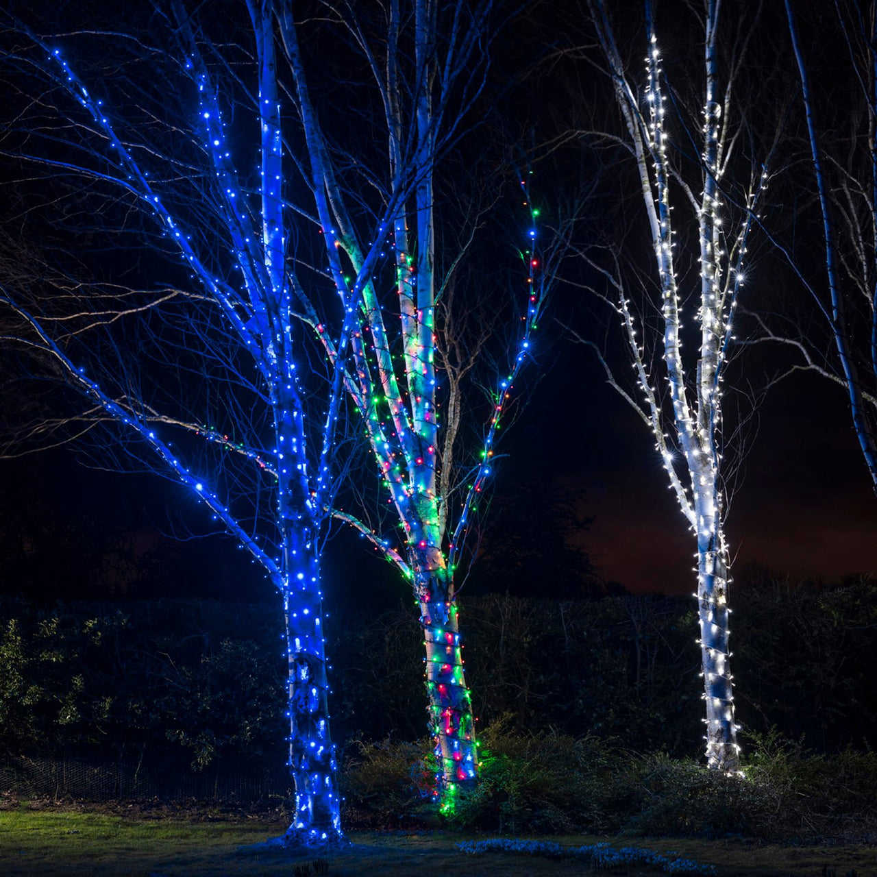 195m 1950er LED Lichterkette bunt koppelbar schwarzes Kabel Pro Serie